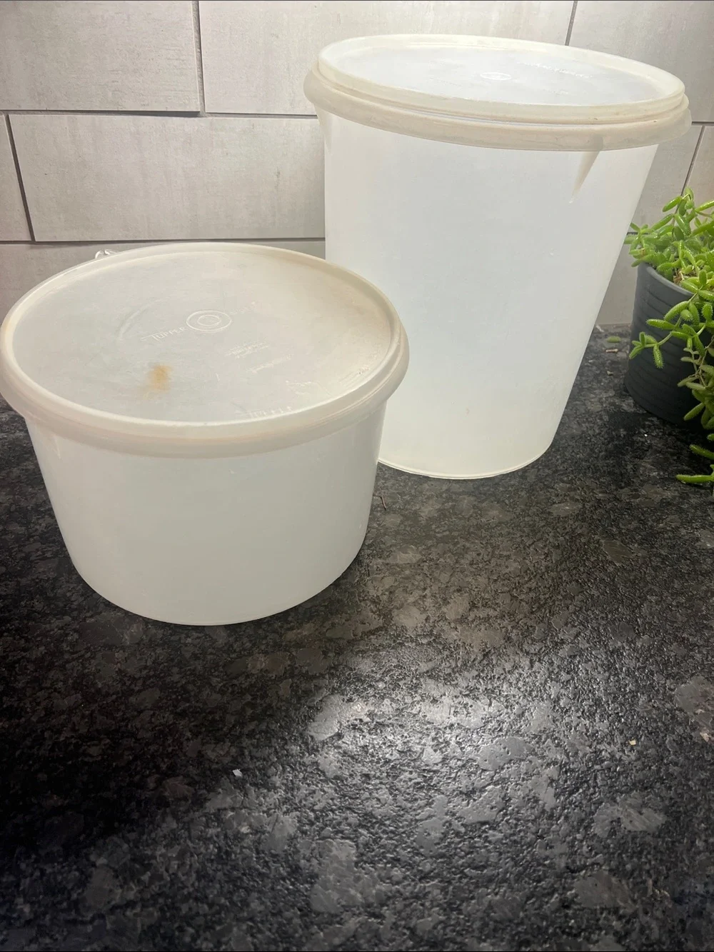 Set of 2 Tupperware large  Sheer White Round Plastic Storage Tubs with Lids